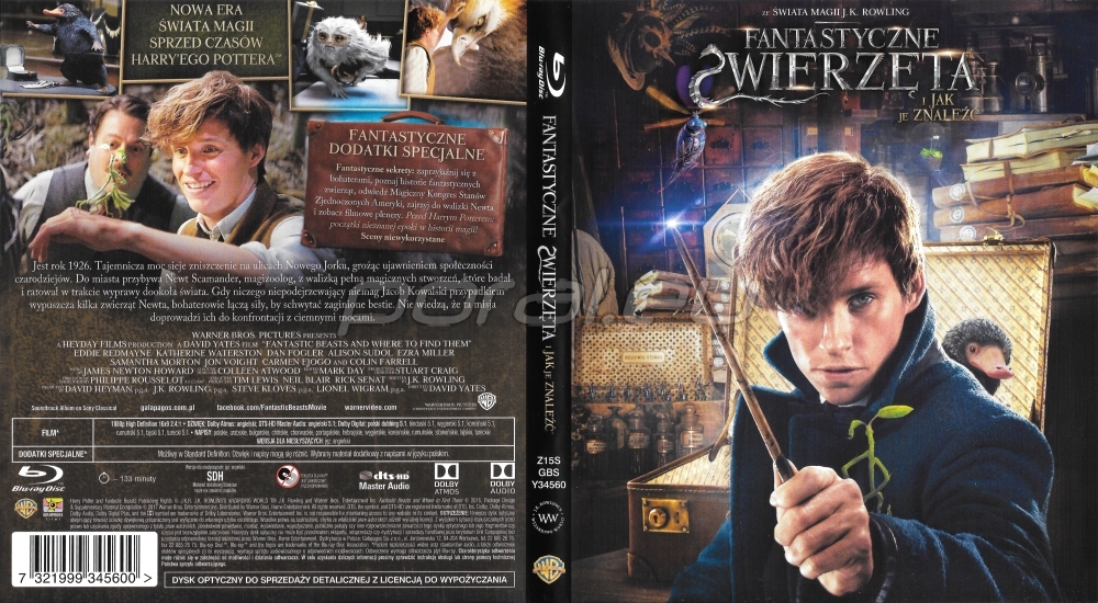 Polska okładka Blu-ray